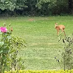 Bed and breakfast Le Clos Des Buis D'hôtes Côté Cour 3*